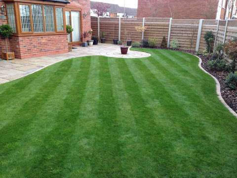 Greensleeves Lawn Care photo